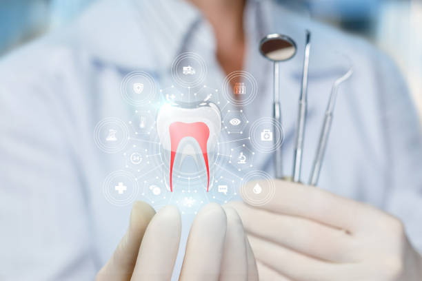 Olympia Heights, FL Dental Services Company